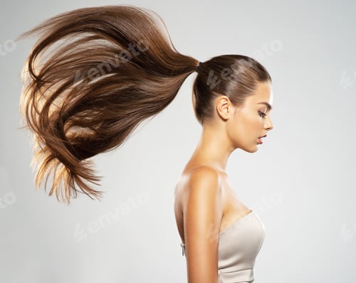Preview: Woman with long brown hair in ponytail profile