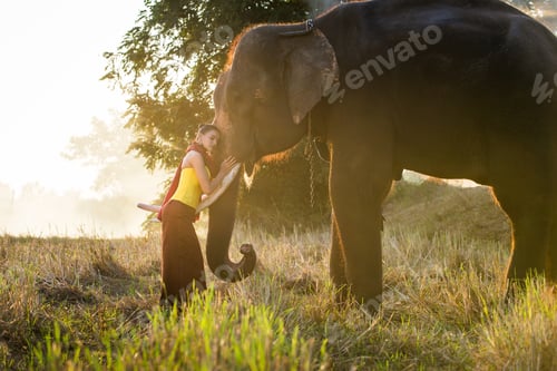 Aperçu: Elephant and woman in Thailand