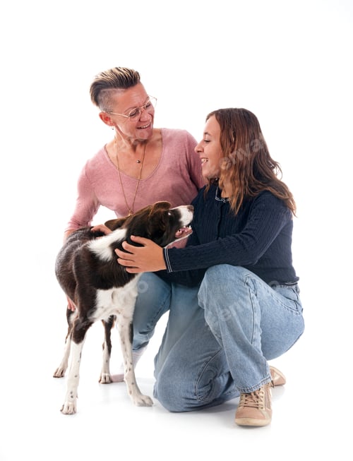 Preview: border collie and owners in studio