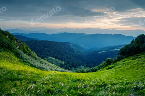 Preview: Lush green grass covered mountains meadow