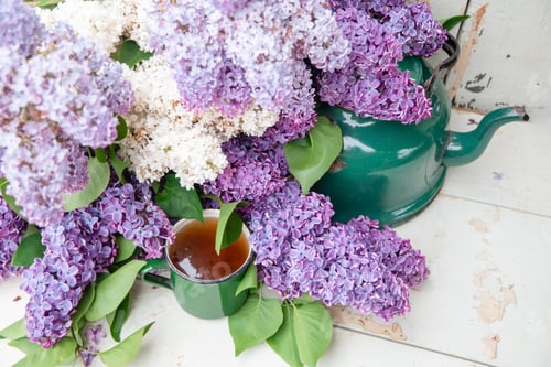 Preview: Vintage green enamel mug, kettle resting near blooming lilac flowers on weathered white surface