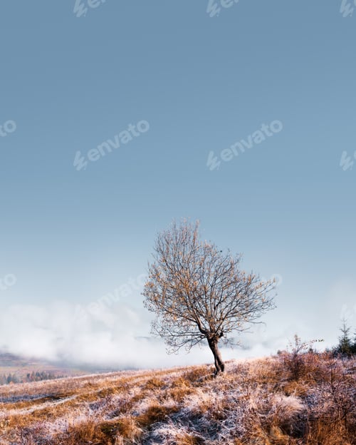 Preview: Amazing scene on autumn mountains