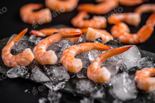 Preview: Fresh shrimps