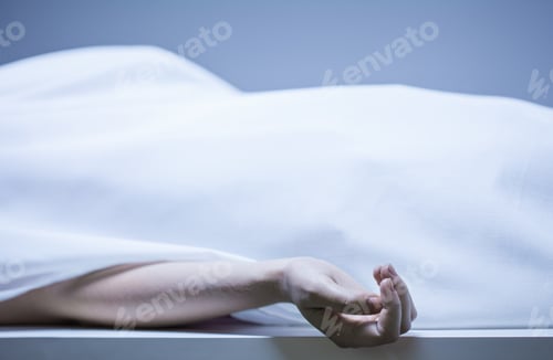 Preview: Remains Of Person In The Morgue, Horizontal