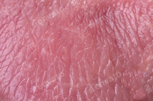 Preview: Raw turkey meat in the form of slices with salt, spices and herbs