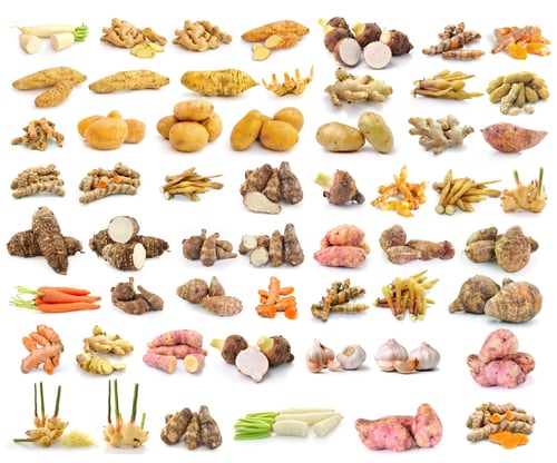 Preview: Yams, potatoes, ginger, galangal, turmeric, cinnamon, garlic, ra