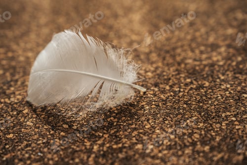 Preview: Close-up image of a white feather on a textured cork surface