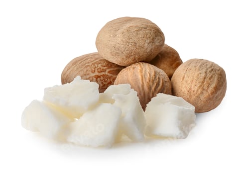 Preview: Natural shea butter and nuts isolated on white