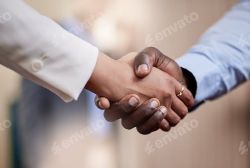 Preview: Welcome aboard the ship. Shot of two businesspeople shaking hands in greeting.