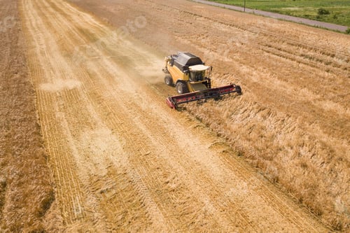 Preview: Aerial view of combine harvester harvesting large ripe wheat field. Agriculture from drone view.
