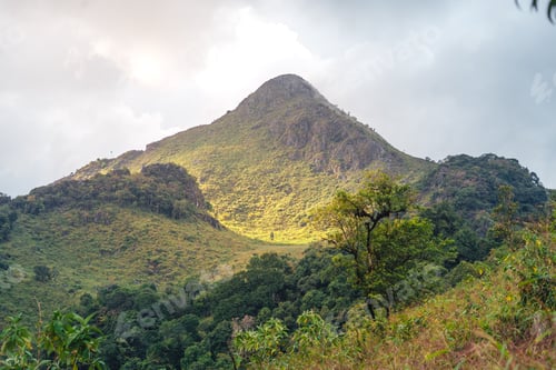 Preview: Green mountain and fog in nature