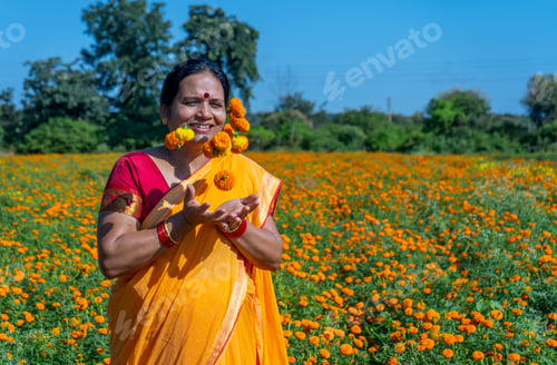 Preview: Indian woman in marigold field and enjoying nature.