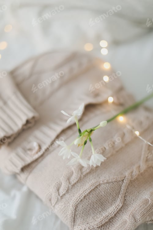 Preview: Creative composition with beautiful daffodils and sweater on light background. Knitted beige sweater