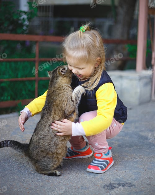 Preview: Little cute girl hugs a gray cat
