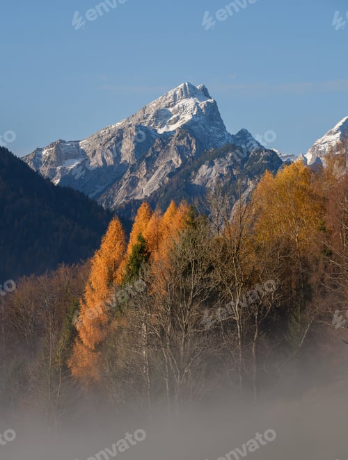 Preview: Autumn morning