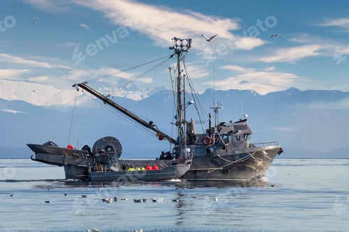 Preview: Seiner fishing for herring on the Pacific Ocean