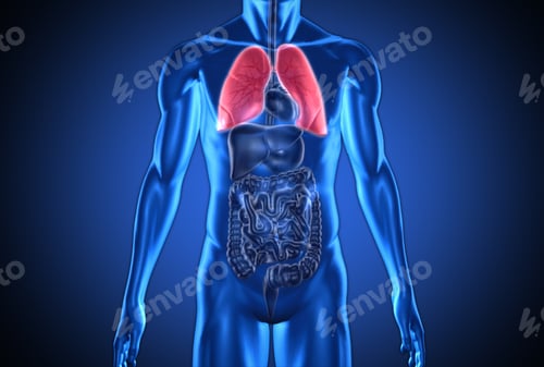 Preview: Digital Blue Human With Highlighted Red Lungs On Dark Blue Background