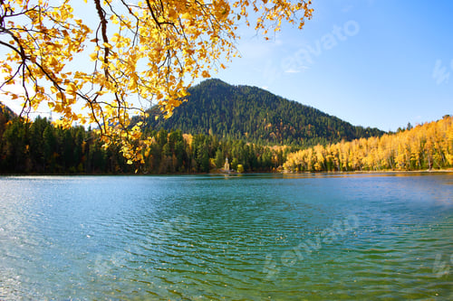 Preview: Beautiful autumn landscape. The lake and coniferous and mixed forest