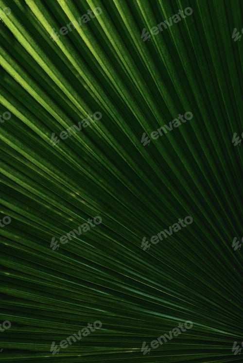 Preview: Vertical view of a macro of the green leaf -beautiful choice for backgrounds
