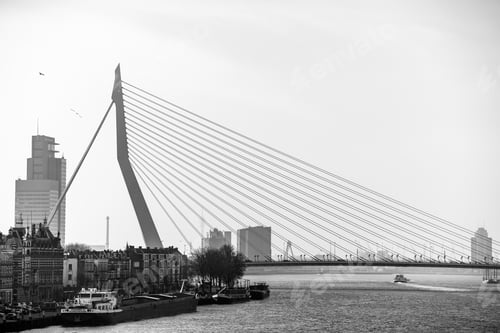 Preview: Grayscale shot of a cable-stayed bridge over the water near city buildings