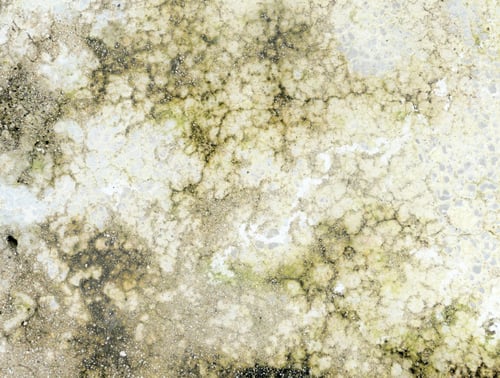 Preview: Vintage weathered concrete wall texture background