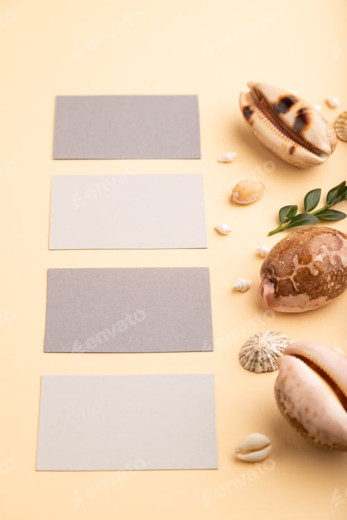 Preview: Composition of gray paper business cards, seashells, green boxwood. mockup on orange
