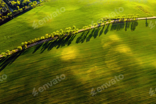 Preview: A bird's-eye view of a green field and a road in Europe.Nature Of Belarus.Own green field at
