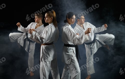Preview: Four karate fighters in kimono, smoky background