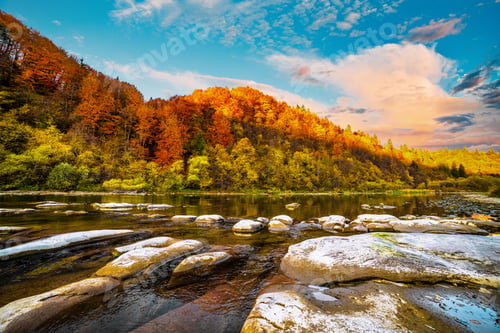 Preview: River rapids with autumn forests on banks