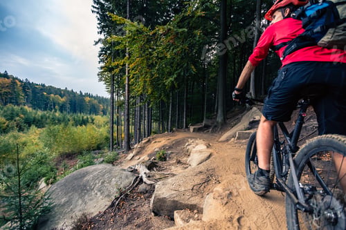 Preview: Mountain biker riding cycling in autumn forest