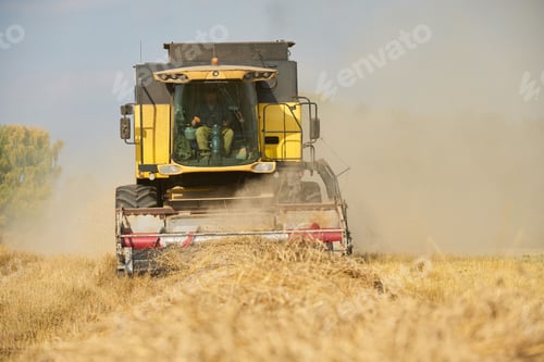 Preview: Caucasian Middle Aged Man Operating Combine Harvester during Wheat Harvest