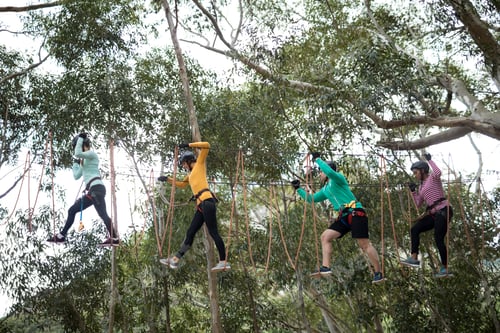 Preview: Friends enjoying zip line adventure in park