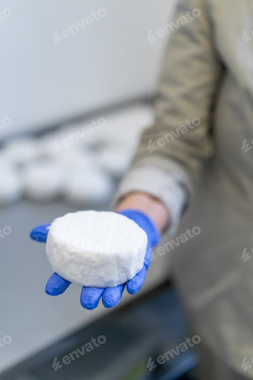 Preview: Close-up of a worker holding organic soft cheese in a paper wrapper in a gloved hand
