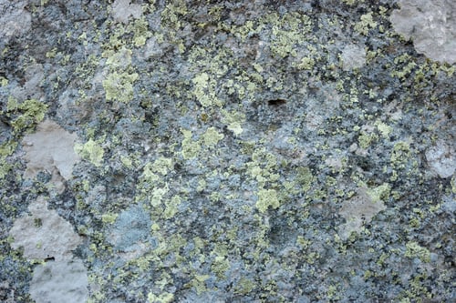 Preview: Rock fungus texture.