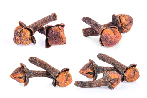 Preview: cloves spices on white