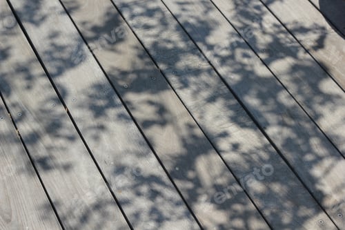 Preview: shadows