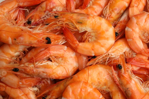 Preview: Pile of delicious cooked shrimps as background, closeup