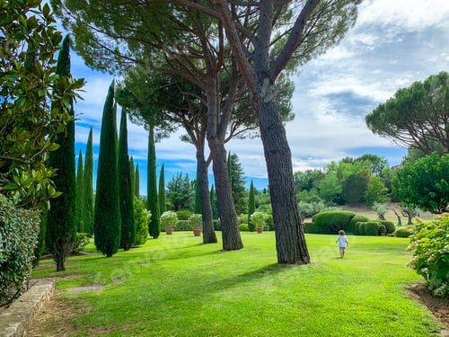 Preview: Little boy running on green grass between big high trees and cypresses with blue sky at background