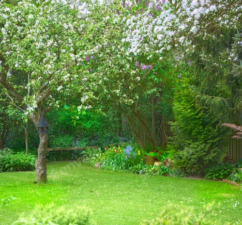 Preview: Summer garden