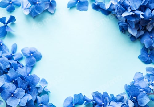 Preview: Blue hydrangea flowers