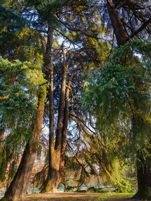 Preview: Autumn at Parco Sempione, Milan