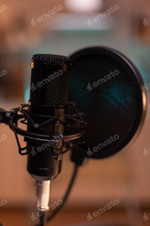 Preview: Zooming on professional microphone