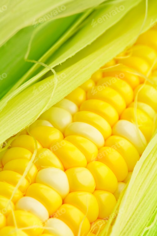 Preview: corn cob
