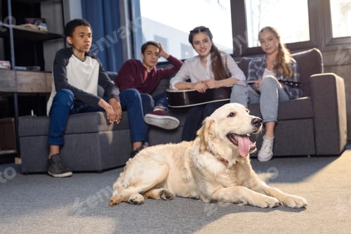 Preview: Smiling teenagers sitting on sofa and looking at golden retriever dog lying on floor