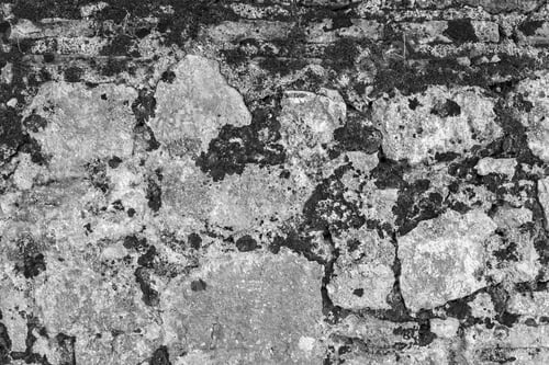 Preview: Old Brick Wall With The Destroyed Mold Plaster For The Textured Vintage Background And Wallpaper