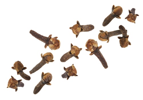 Preview: Clove buds in air on white background. Aromatic spice