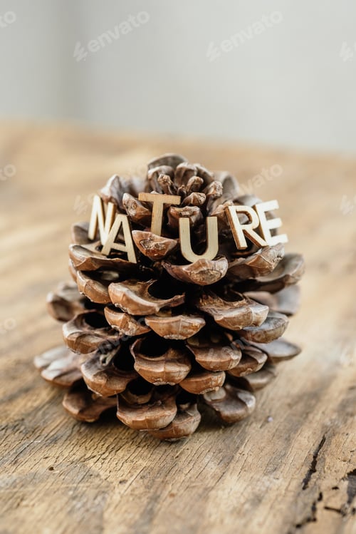 Preview: Nature