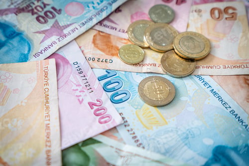 Preview: Various Turkish Lira Banknotes And Coins. Turkish Money