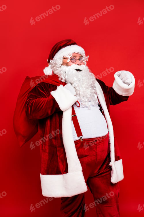 Preview: Funny Santa Claus portrait