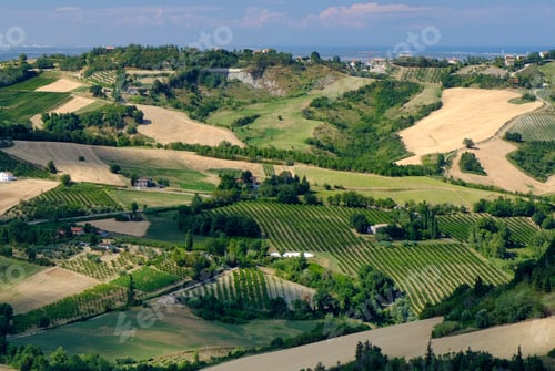 Preview: Landscape in Romagna at summer from Sogliano al Rubicone